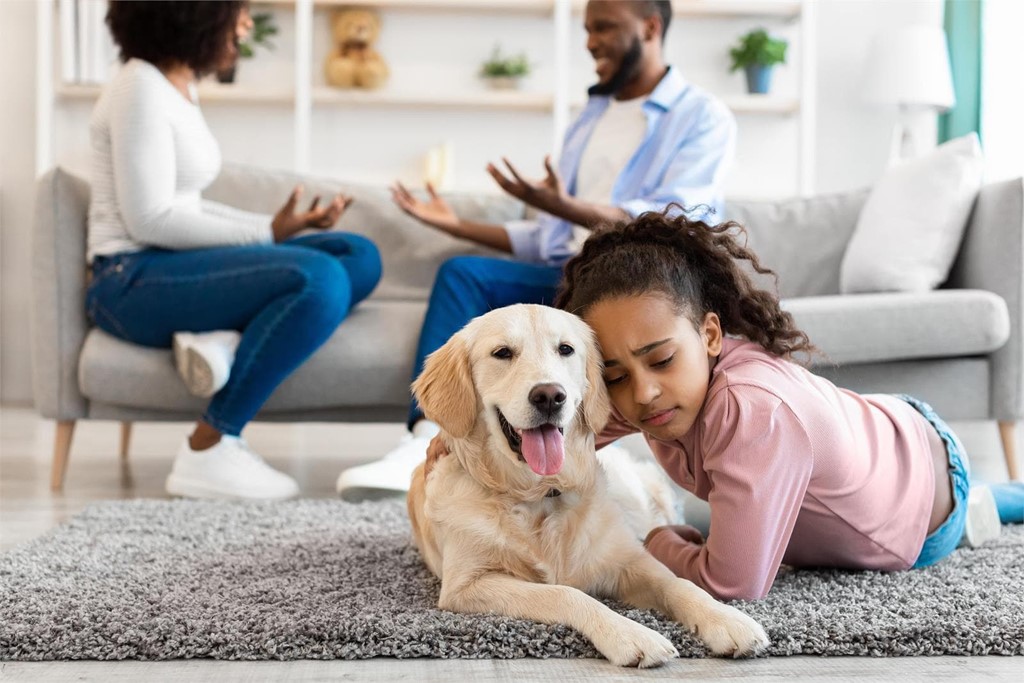 ¿Qué pasa con las mascotas en caso de divorcio?