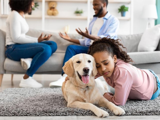 ¿Qué pasa con las mascotas en caso de divorcio?